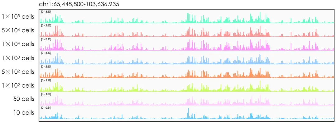 Peak位點準確有效 Peak位點準確有效