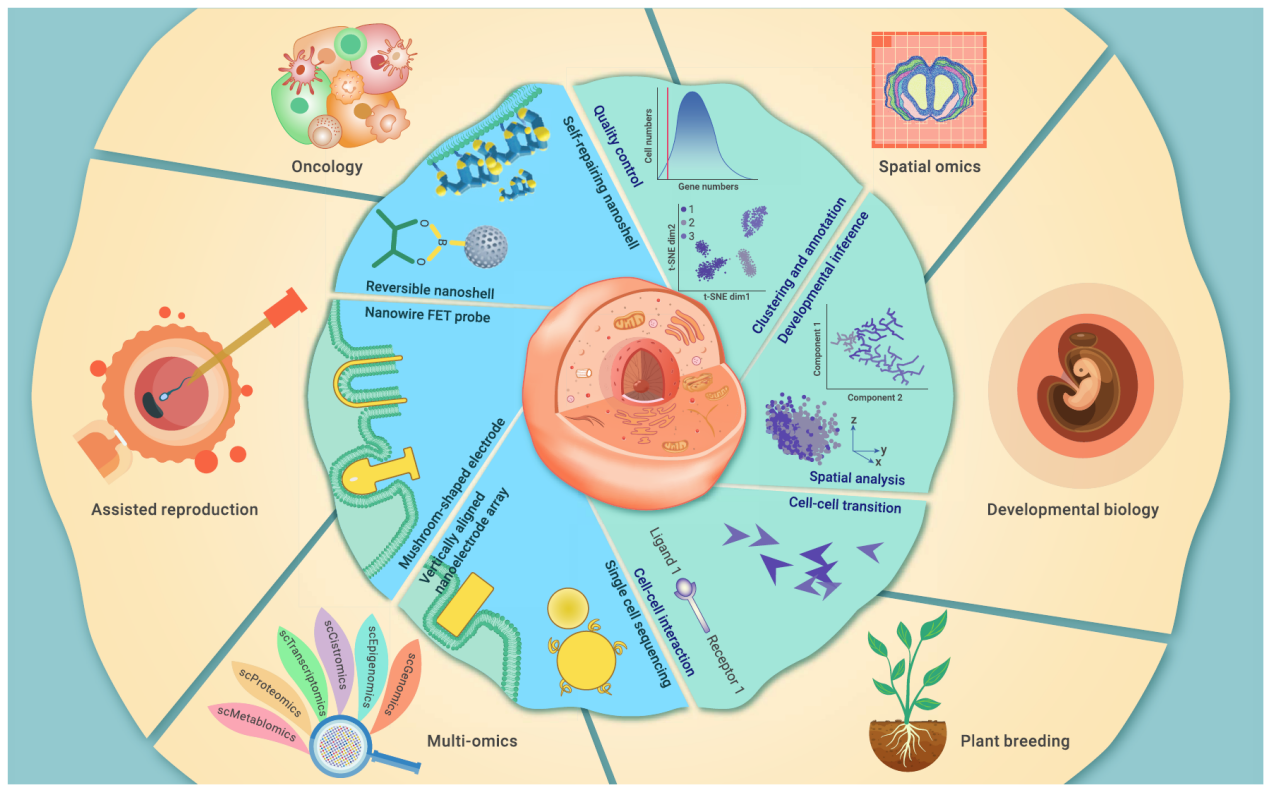 單細(xì)胞測序的應(yīng)用 單細(xì)胞測序的應(yīng)用