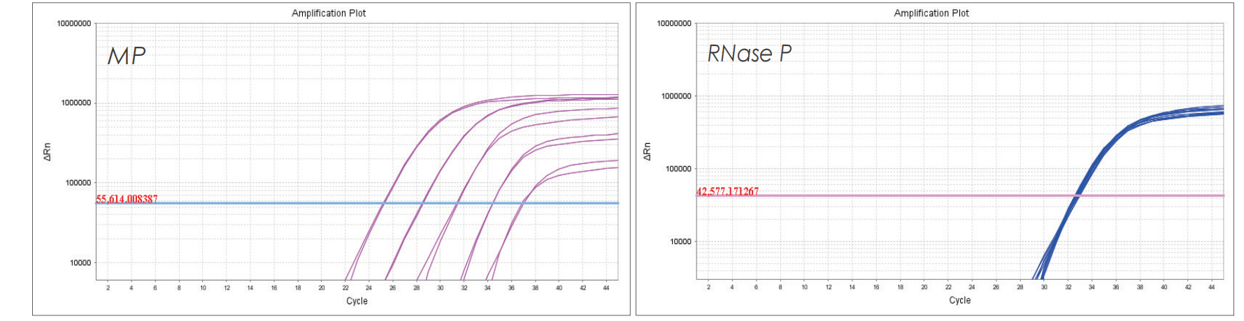 實(shí)驗(yàn)數(shù)據(jù)