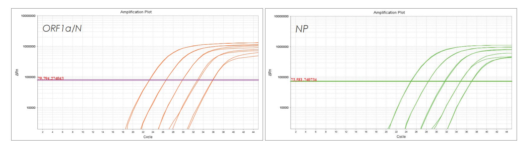 實(shí)驗(yàn)數(shù)據(jù)