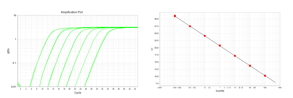 擴(kuò)增效率高