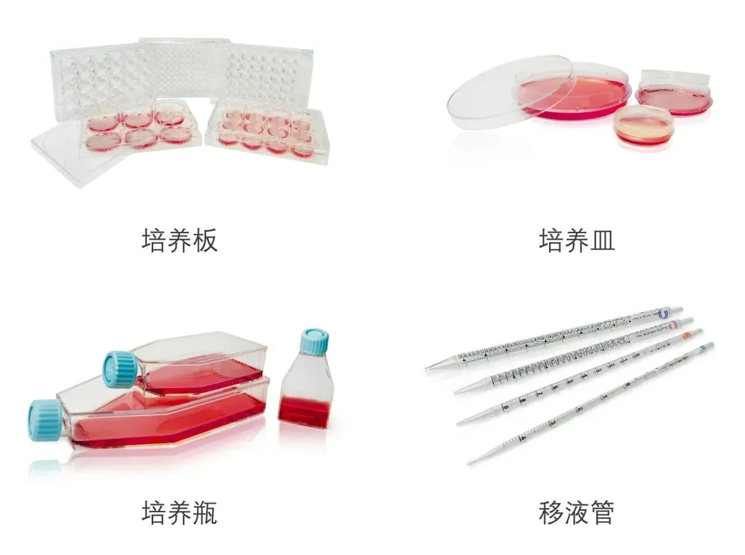 細(xì)胞培養(yǎng)相關(guān)耗材.jpg 細(xì)胞培養(yǎng)相關(guān)耗材.jpg