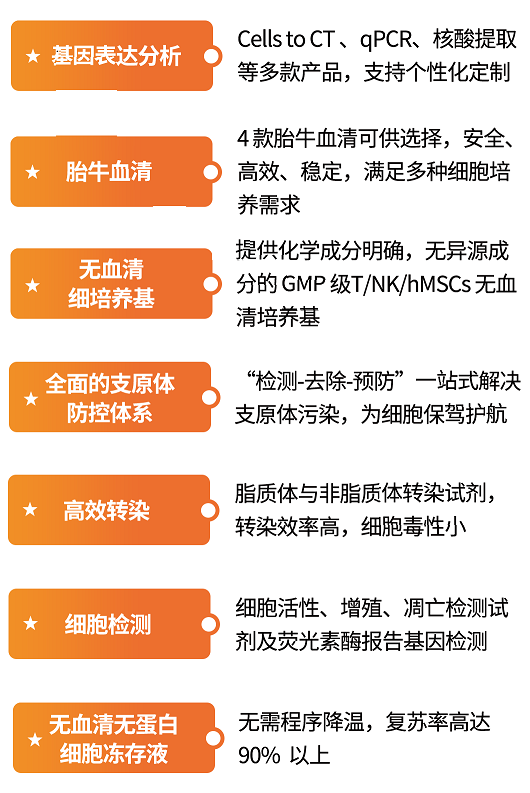 細(xì)胞水平藥物篩選解決方案 細(xì)胞水平藥物篩選解決方案